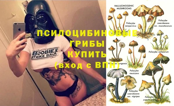 2c-b Сосновый Бор