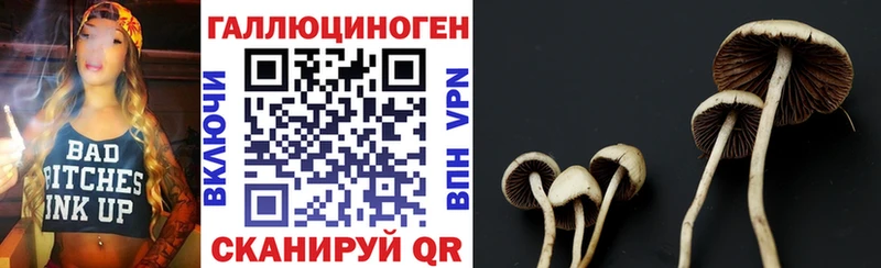 Псилоцибиновые грибы мицелий Белый